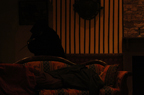 A dark figure moves behind a couch